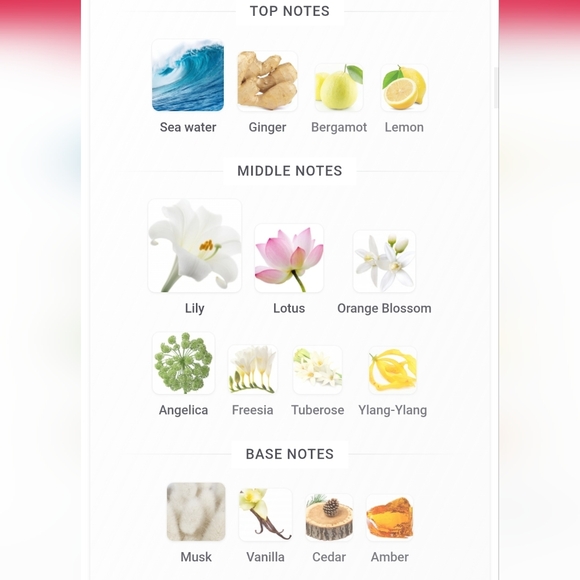 "Lys Mediterranee" By Frederic Malle - Picture 10 of 10